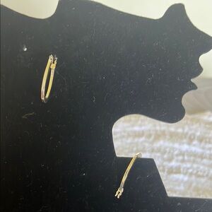 Elegant Silver Hoop Earrings